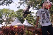Hari Skateboard Sedunia