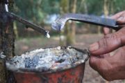 Harga Karet Lampung Turun
