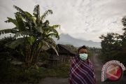 Hujan abu Merapi