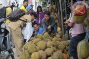 Sentra Buah Durian Palembang