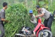 Operasi Ketupat Krakatau