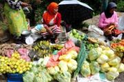 PEDAGANG SAYUR