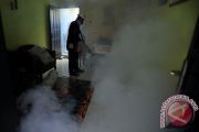 FOGGING DBD