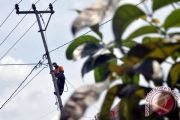 Pemeliharaan Rutin PLN