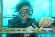 Tansplantasi Coral