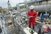 Indonesia's clean power exports to Singapore delayed