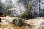 Penanganan Karhutla Terkendala/Joko Sulistyo