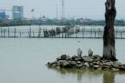 MAKAM TERENDAM