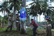 Penertiban Peraga Kampanye/Zam Jambak
