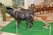 Museum Nasional Transmigrasi
