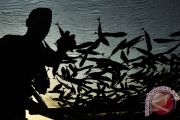 IKAN KERING