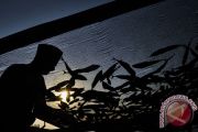 IKAN KERING