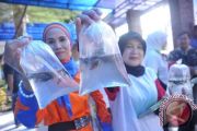 Gerakan Pemberantasan Nyamuk
