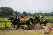 Pacuan kuda