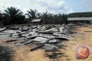 Kantor dan Mess PT HAL Kotim Dibakar