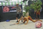 Kampanye Harimau Sumatera