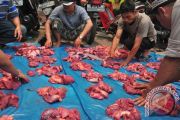 Pembagian Daging Kurban