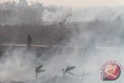 Kebakaran limbah perusahaan