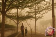 Kabut Asap Palangka Raya