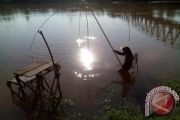 Jaring Ikan Mudik