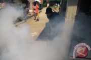 Lakukan Fogging