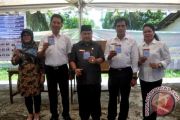 Pilkada Kalteng 2016