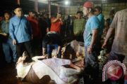 KELAYAKAN RUMAH POTONG HEWAN