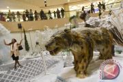 Pegelaran Hewan Purba