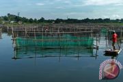 TARGET BUDIDAYA PERIKANAN SULSEL