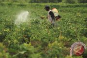 Mewaspadai ancaman logam berat di balik pangan yang tampak sehat