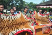 Perdagangan Kulit Harimau 