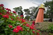 WISATA TAMAN BUNGA