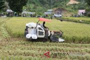 TRAKTOR PANEN PADI