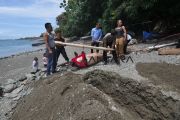 DUYUNG MATI TERDAMPAR DI PALU