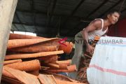 KAYU MANIS