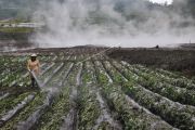 Kawah Sileri pasca letusan