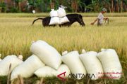 Manfaatkan tenaga kuda