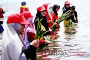 Penanaman pohon mangrove