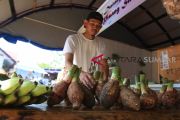 JUAL HASIL KEBUN KHAS MENTAWAI