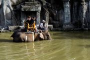 Bali warns conservation centers over elephant riding ban