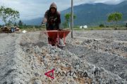 Pemanfaatan pupuk kandang