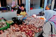 Harga daging ayam