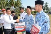 BUMN Hadir - Sinergi BUMN kibarkan merah putih di Natuna