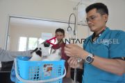 Peringatan hari rabies Sedunia