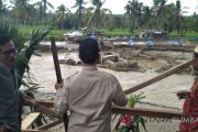 BAJIR PASAMAN