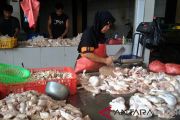 Harga daging ayam