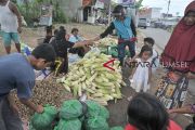 Penjual Jagung Musiman Raup Untung