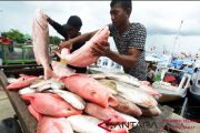 Harga ikan naik
