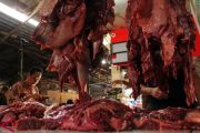 Kebutuhan daging sapi nasional