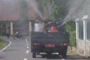 Pencegahan demam berdarah